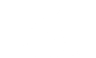 los arrango